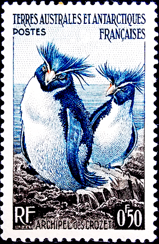 Франция 1956 год . Французские территории в Антарктике . Пингвины . 0,50f .